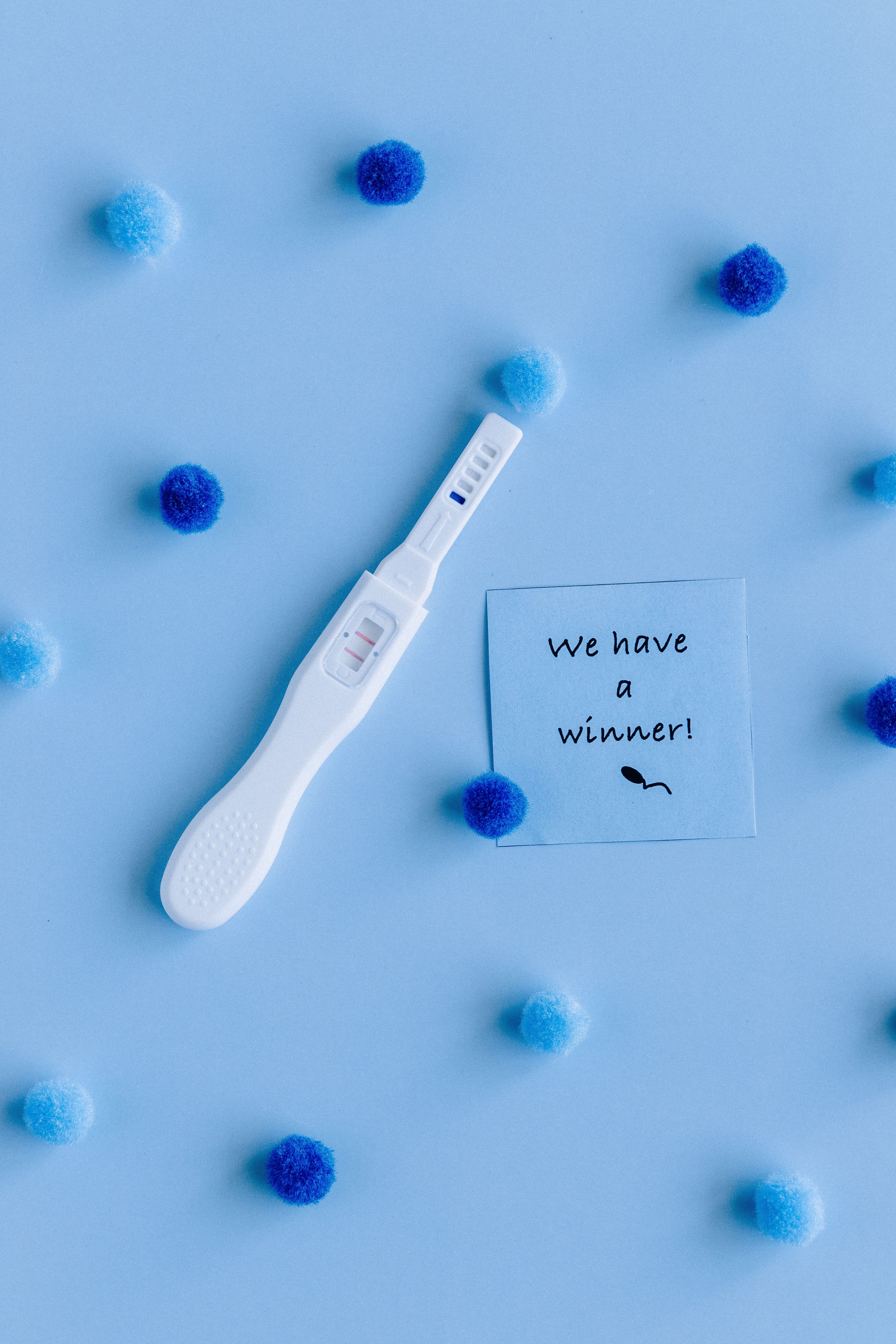 Fertility / IVF