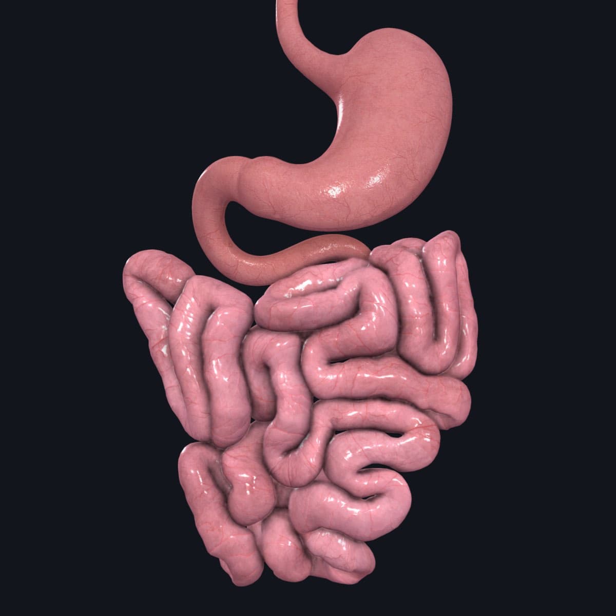 Small Intestine Transplant