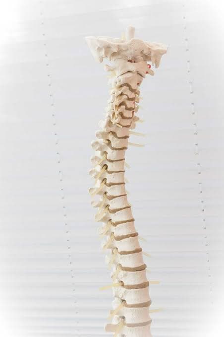 Spine Surgery